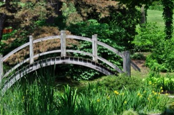 Bridge